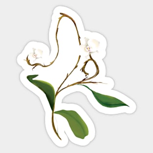 Orchid Flower Sticker